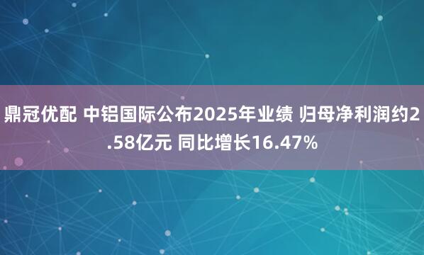鼎冠优配 中铝国际公布2025年业绩 归母净利润约2.58亿元 同比增长16.47%