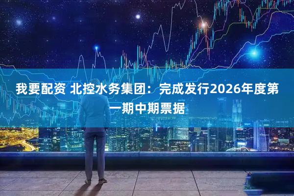 我要配资 北控水务集团：完成发行2026年度第一期中期票据